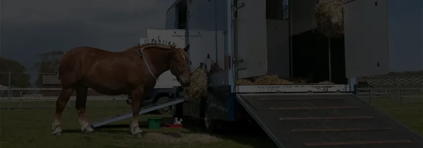 Grove & Dean Private Clients Horsebox Insurance