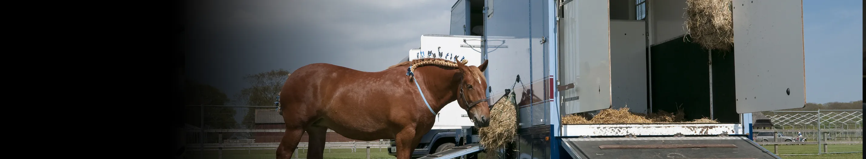 Grove & Dean Private Clients Horsebox Insurance